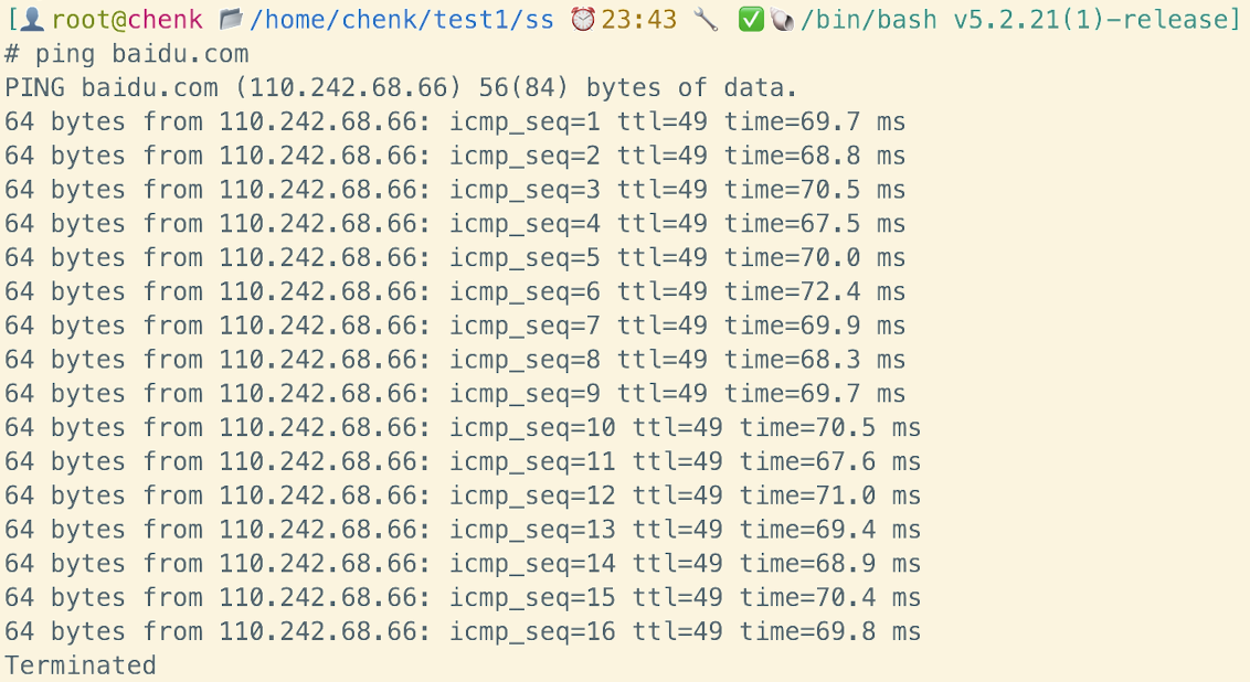 image-20250206234726903